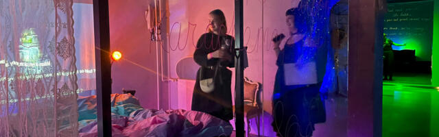 Выставка «Кому принадлежит ночь?» открыта последний месяц