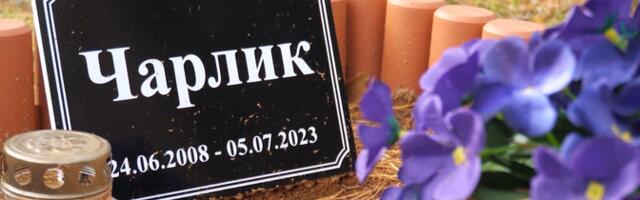 В Пярну появилось официальное кладбище домашних животных