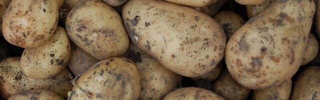 Почти сотня садоводов просят PRIA о компенсации за загубленный непогодой урожай