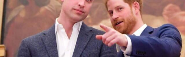 DB узнал, как фильм о Диане может поссорить принцев Уильяма и Гарри