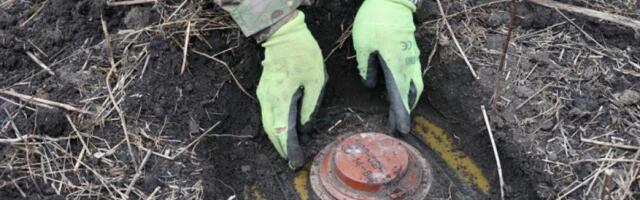 Выход из Оттавского договора вновь на повестке дня политиков