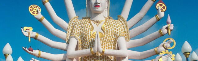 Воскресный антидепрессант Любиной: «Многофункциональный»