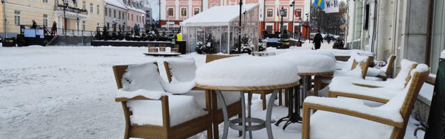 Голосуй за Тарту! Завершается голосование по выбору молодежной столицы года