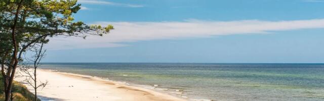 На двух таллиннских побережьях пройдет необычное мероприятие — с интересной программой и едой