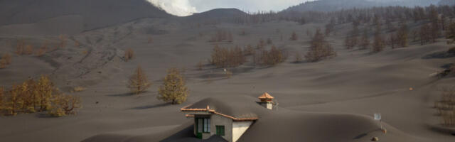 ФОТО | Пепел от извергающегося вулкана на Канарских островах покрыл дома и деревья