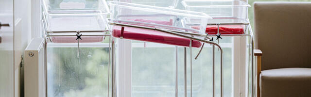 Eurostat: численность населения ЕС к концу столетия уменьшится на 10%