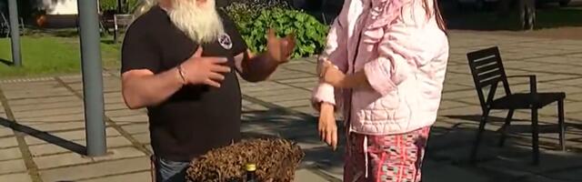 Член Кайтселийта рассказал, как утолить голод в лесу, не имея при себе ни еды, ни сковороды