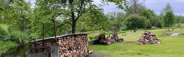 Цены на дрова остаются стабильными