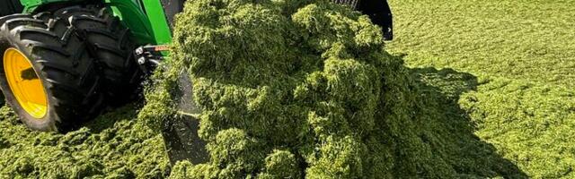 У некоторых фермеров возникли проблемы с заготовкой сена