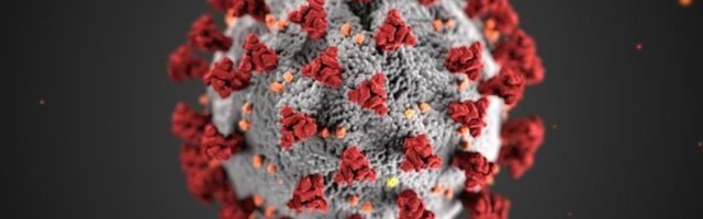 По данным Департамент здравоохранения в Эстонии 131 больной инфицированный коронавирусом