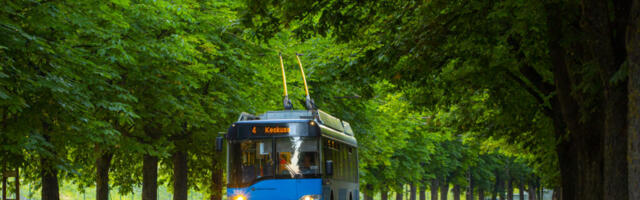 Троллейбусы в Таллинне с ноября заменят автобусы. Но временно