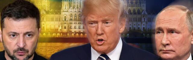 Трамп: трехсторонняя встреча с участием лидеров США, России и Украины состоится