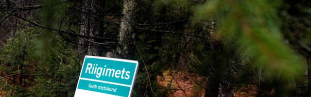 В прошлом году RMK заработал 86 млн евро прибыли