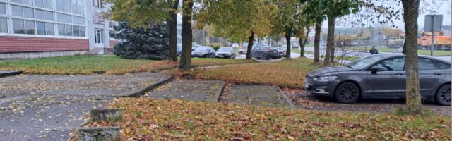 50 оттенков золотого