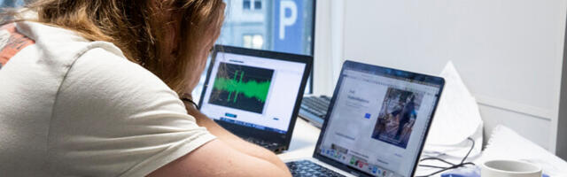 Опрос Swedbank: более трети жителей Эстонии подрабатывают