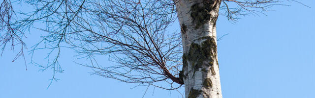 В субботу воздух прогреется до 8 градусов