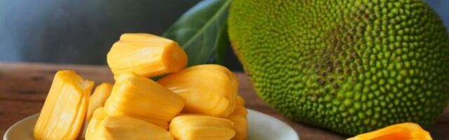 Джекфрут: что это за фрукт, на что похож, как едят, фото, вкус, польза и вред