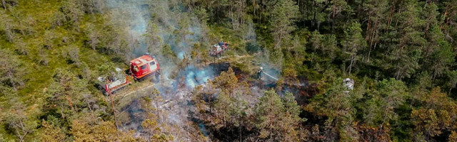Пожароопасный период: в Эстонии смягчаются ограничения