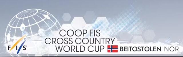 Лыжный спорт: Уусталу и Каасику не пробились в основные соревнования