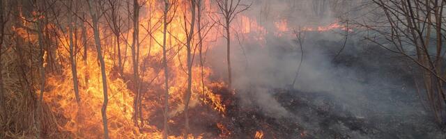 Серия пожаров сухой травы в Южной Эстонии – огонь угрожал зданиям