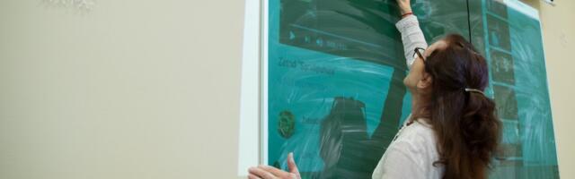 Четверть учителей не соответствует квалификационным требованиям. Директор ласнамяэской школы: учителей просто нет