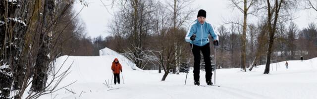 13 километров лыжных трасс в городе