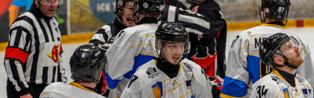 "Виру Спутник" выиграл в Нарве и второй матч финальной серии ЧЭ по хоккею