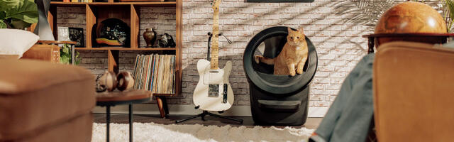 В Эстонии появился Litter-Robot: «умный» кошачий туалет, который сам всё убирает