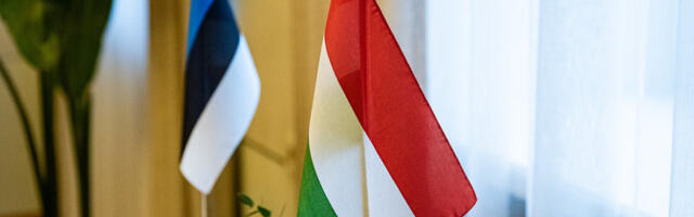 Эстония меняет посла в Венгрии: на смену Раулю Тоомасу придет Яана Ванамёльдер