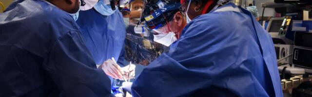 Человек с сердцем свиньи. Пациенту в США впервые в мире пересадили сердце животного