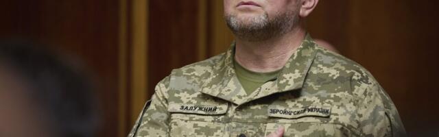 Валерий Залужный: ни Украина, ни Россия не могут провести успешное наступление