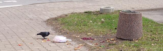 788 урн: много это или мало?