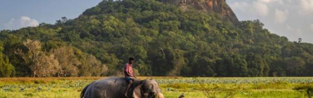 Три ланкийские столицы: с чего начать путешествие по Шри-Ланке, какие места и города посмотреть, путеводитель