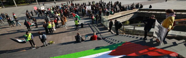 ФОТО: в Таллинне прошла акция в поддержку Палестины