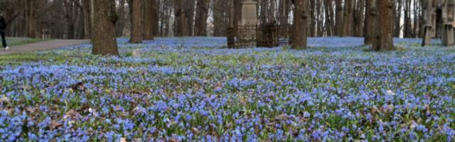 Otrdien gaidāms daļēji saulains un līdz +16 grādiem silts laiks