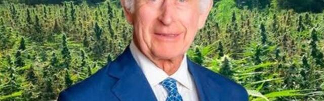 В нескольких метрах от дома короля Карла была обнаружена крупная нелегальная плантация каннабиса