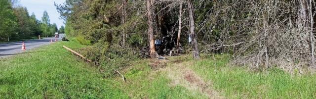 В Вильяндиском уезде погиб водитель BMW, врезавшегося в дерево