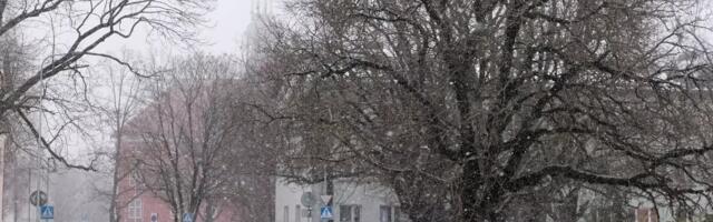 Как погода в Эстонии изменится в начале следующей недели