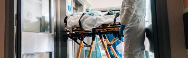 Марио Кадастик: если заболеваемость не упадет, к 1 ноября больницы выйдут из строя