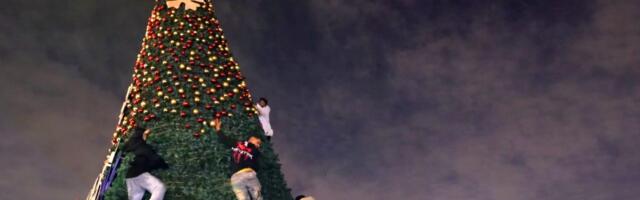 Правдиво ли видео, на котором мигранты в Европе залезают на рождественскую ёлку и срывают украшения?