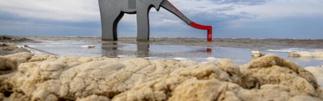 В отелях столицы праздник, но в Пярну дождь: «Похвастаться особо нечем»