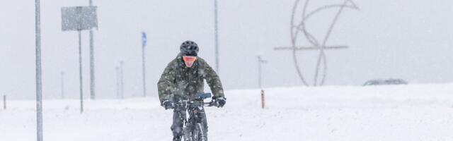 „Дворники с лопатами справляются лучше, чем вся столичная коалиция“. В Таллинне одна снегоуборочная машина и один трактор?