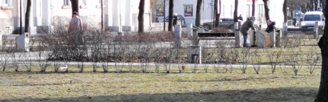 Одинокий швед в Нарве почти неделю живет на улице. Но от помощи отказывается