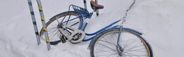 Таллинн не станет строить велодорожки на Нарвском шоссе и Лийвалайа