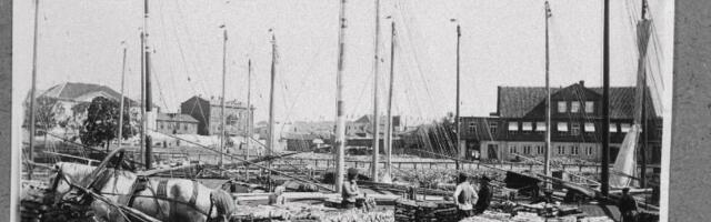 ИСТОРИЯ: как 100 лет назад тартусцы с дороговизной тепла боролись