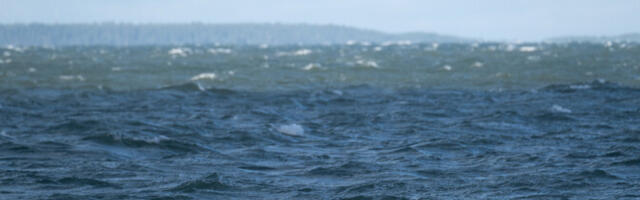 В ЕС боятся, что дрейфующий газовоз РФ станет причиной экологической катастрофы