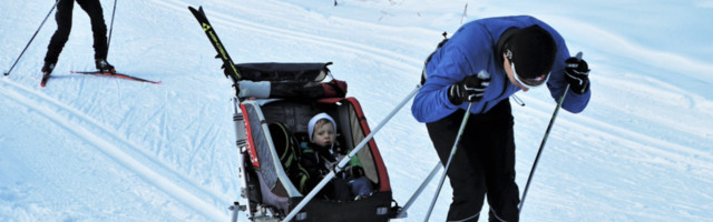Городские лыжные трассы и катки