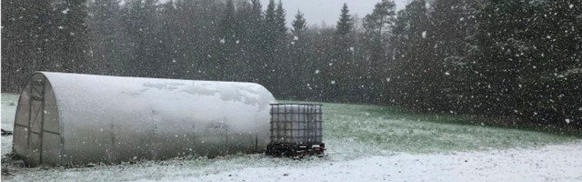 На юге Эстонии выпал снег, объявлено предупреждение первого уровня