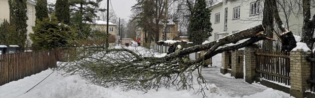 Спасатели предупреждают: сосульки и снежные массы на крышах угрожают безопасности