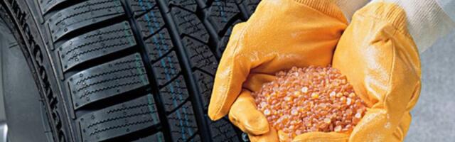 В Россию через Латвию импортируется натуральный каучук